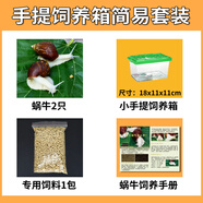 寵以沫寵物白玉蝸?；铙w巨型大蝸牛寵物觀賞學(xué)生科學(xué)實(shí)驗(yàn)教學(xué)小蝸牛套裝 手提小箱簡(jiǎn)易套裝2只蝸牛