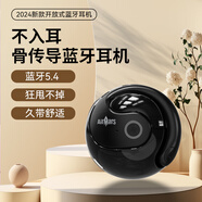 AIRMARS FORSMARTPHONE【柏林之聲】小椰球真無(wú)線(xiàn)藍牙耳機掛耳式骨傳導概念 AI通話(huà)降噪Type-C 運動(dòng)跑步超長(cháng)續航適用索尼