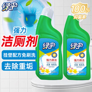 綠傘強(qiáng)力廁潔劑 衛(wèi)生間馬桶清潔劑 潔廁靈 花香掛壁免刷洗 500g*2瓶