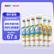 兩面針（LMZ）四味針火牙膏減輕牙齦問(wèn)題清新口氣 140g*6支