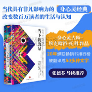 當下的力量全集 活在當下指南當下的力量實踐手冊 人生不必太用力新世界 ?？斯赝欣髌芳?人生的智慧叔本華的書從容淡定過一生：李叔同傳+人生哲學人間值得佛系不抱怨的世界 張德芬推薦勵志成長成功書籍 當