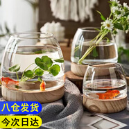 迪普爾玻璃魚缸生態(tài)缸桌面溪流缸迷你金魚缸小型水族箱斗魚缸養(yǎng)魚缸* 小號(hào)10*7.5cm【裸缸-不含魚】
