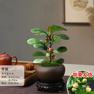 詩(shī)甲 小盼菩提綠植盆栽小盆景辦公室內(nèi)客廳陽(yáng)臺(tái)禪意花卉節(jié)日高檔送禮 菩提+小圓口紫砂+底座