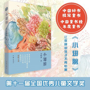 2018中國好書(shū)：小翅膀