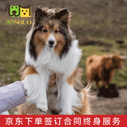 佳朔純種蘇格蘭牧羊犬幼犬家養(yǎng)寵物狗狗活體喜樂蒂犬幼崽 寵物級 【蘇格蘭牧羊犬】