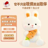 威爾通（WELTSTON）毛絨玩具布娃娃抱枕安撫玩偶生日七夕情人節禮物禮品 小白兔公仔