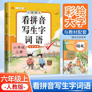 漢知簡(jiǎn)小學(xué)生六年級(jí)上冊(cè)看拼音寫詞語(yǔ)練字帖生字注音語(yǔ)文課本同步專項(xiàng)訓(xùn)練 習(xí)字本寫字練習(xí)冊(cè)彩繪版