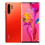 華為（HUAWEI）P30 Pro 【全新未激活未拆封+全國聯(lián)?！亏梓?80p30 p40 p50 P30PRO【赤茶橘】 8+512GB【贈送兩年延?！?
                                         title=