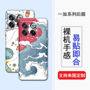 軒致 一加ACEPro背膜1+10Pro后膜9R貼紙8T手機(jī)彩膜定制圖案手機(jī)膜 來(lái)圖定制【留言手機(jī)型號(hào)】