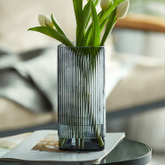 拜杰 玻璃花瓶 北欧风半透明三角竖条纹花瓶 客厅桌面水培皿玻璃花器 