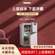 冰箱小型家用迷你小冰箱宿舍租房車(chē)家兩用結冰凍肉冷藏冷凍雪糕 5升低冷單核保鮮不結冰-圖片非5L