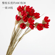 干鮮花真花ins風(fēng)干花花束家居擺設(shè)小清新客廳插花網(wǎng)紅裝飾品滿天星永生花 秋穎 18枝開心果(紅色)