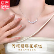 Gramda925銀項(xiàng)鏈女小眾設(shè)計(jì)感吊墜鎖骨鏈?zhǔn)罪椘?20情人節(jié)禮物送女友老婆 紫藤花銀項(xiàng)鏈/七倉配送/當(dāng)次日達(dá)