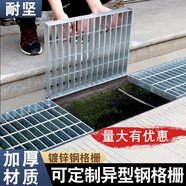 耐堅(jiān)（NAIJIAN）熱鍍鋅鋼格柵蓋板排水溝車庫(kù)地溝格柵板下水道地漏網(wǎng)格板踏步板 長(zhǎng)500*寬200*高20*厚3mm