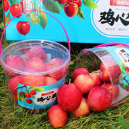 洛川蘋(píng)果新品黃金維納斯秦脆蘋(píng)果陜西延安蘋(píng)果禮盒水果生鮮送禮年貨 海棠雞心果 6罐/箱 尊享禮盒裝