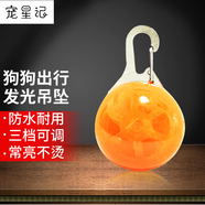 寵星記 寵物 LED狗狗發(fā)光吊墜 夜間遛狗燈 夜間防走失遛狗燈 橙色