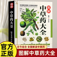 彩圖全圖全解中草藥大全 中藥材識(shí)別圖鑒書籍 中醫(yī)入門中草藥大全書籍藥材植物彩圖中藥大全書中醫(yī)大全書中草藥圖鑒書現(xiàn)貨發(fā)正版