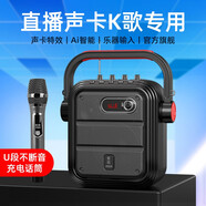 愛歌（aige）TX02網(wǎng)紅戶外k歌廣場舞音響自帶聲卡直播一體機唱歌機手提便攜式無線藍牙音箱低音炮家用ktv高音質(zhì) 直播聲卡版+U段充電話筒