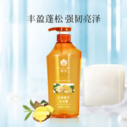 蜂花生姜健發(fā)啤酒花洗發(fā)露男士女士去油蓬松柔順洗發(fā)水750ml