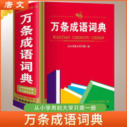 萬條成語詞典 學生通用工具書中小學生工具書小學初中高中字典詞典工具書 唐文字典辭書