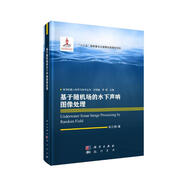 基于隨機(jī)場(chǎng)的水下聲吶圖像處理