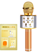 多寶萊 無線麥克風(fēng)藍牙電容話筒音響家用全套唱歌手機一體直播設(shè)備全民K歌神器主播通用 土豪金【標配版-錄音套裝】錄音線+防噴罩