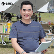 寶財羊爸爸夏裝短袖t恤男圓領(lǐng)冰絲條紋半袖衫中老年人上衣服父親節(jié)禮物