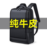 WILLIAMPOLO保羅新款英倫風真皮男士雙肩包商務背包頭層牛皮多功能旅行電腦包 真皮雙肩包（可放16英寸電腦）