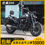 永源全新莊威250美式復古巡航太子摩托車250cc雙缸水冷莊威威風250-2 磨砂黑