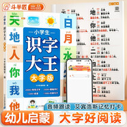 斗半匠 小學(xué)生識字大王大字版 幼兒學(xué)前基礎(chǔ)識字書幼小銜接啟蒙早教書繪本 小學(xué)生字組詞造句生字預(yù)習(xí)卡