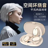 DAMIX【全網(wǎng)低價(jià)】真無(wú)線(xiàn)藍牙耳機骨傳導概念掛耳式運動(dòng)跑步耳機高音質(zhì)通話(huà)降噪超長(cháng)續航 香檳金-高清通話(huà)+長(cháng)續航+HiFi