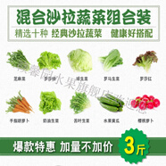 贛馨園 蔬菜沙拉新鮮球生菜吃沙拉混合新鮮沙拉套餐3斤10種蔬菜健身套餐 1500g