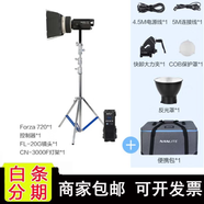 南光Nanlite南光 Forza 720/720B專(zhuān)業(yè)影視補光燈視頻人像直播常亮燈720W大功率攝影燈主播主燈輔燈大功 Forza 720+20G菲涅爾鏡頭+燈架