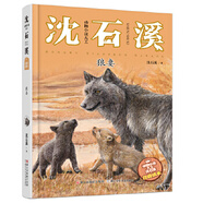 動(dòng)物小說(shuō)大王沈石溪 注音讀本:狼妻 沈石溪