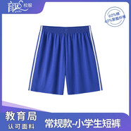 育達(dá)深圳小學(xué)生校服春季男女純棉短袖t恤短褲運(yùn)動服衣服褲子運(yùn)動套裝 小短褲 145