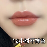 蘭奕口紅不易掉色不易沾杯持久不易脫妝520情人節禮物生日禮物送女友 S03#肉桂奶茶 95%的人選擇