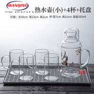 高檔輕奢冷水壺玻璃涼水壺涼水杯家用防爆大容量透明水杯套裝 山間鶴舞冷熱水壺小+4杯+托盤(pán)