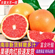 莊庚南非進(jìn)口紅心西柚葡萄柚新鮮應季當季孕婦水果商用切片酸爽多汁 西柚2個(gè)裝230-260克-不推薦