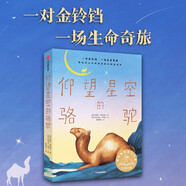 仰望星空的駱駝?凱西·阿貝特等著