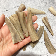 碧秀堂天然山羊角原料角尖吊墜項鏈羊角尖印章把玩飾品掛件佩戴 山羊尖長(cháng)約6cm一個(gè) 已打孔