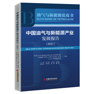 中國油氣與新能源產(chǎn)業(yè)發(fā)展報告：2021
