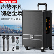 紐曼N519 12英寸大功率重低音廣場(chǎng)舞音響移動(dòng)家用戶(hù)外K歌藍牙拉桿便攜式音箱擴音器雙麥 帶適配器