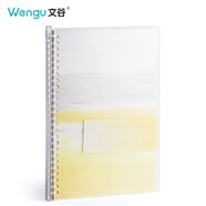 文谷(Wengu)活頁本b5 線圈本活頁筆記本可拆卸筆記本子 作業(yè)本手賬本記事本橫線80頁PL003-B5-C