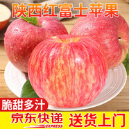 京愿陜西紅富士蘋果脆甜丑蘋果時令平果新鮮冰糖心蘋果水果生鮮 凈重4.5-5斤實惠裝