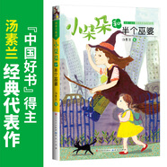 小朵朵和半個(gè)巫婆/湯素蘭童話(huà)小朵朵非凡成長(cháng)系列