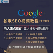 Google營(yíng)銷(xiāo)推廣教程外貿(mào)海外推廣視頻課程 谷歌SEO關(guān)鍵詞排名優(yōu)化廣告網(wǎng)絡(luò)新手入門(mén)培訓(xùn)教程 谷歌SEO視頻教程