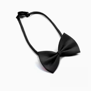 雪澈領(lǐng)結男女純色學(xué)士服配件免打結拉鏈領(lǐng)帶男士女演出配飾蝴蝶結 黑色領(lǐng)結 【可調節帶長(cháng)42cm】