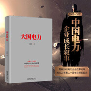 大國電力 宋明霞