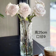 石子樹北歐風大號花瓶ins風高顏值簡約玻璃透明插花水培擺件 柳藤