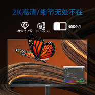 飛利浦 27英寸2K100Hz A-Sync1ms8bit 低藍(lán)光 HDMI+DP 旋轉(zhuǎn)升降 電競(jìng)游戲 辦公顯示器 顯示屏27E1N5500LB